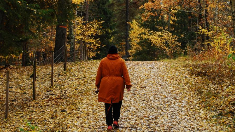 Höstpromenad i närliggande naturreservat          Foto: Pia Torndahl