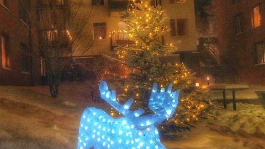 Julhälsning                              Foto: Pia Torndahl