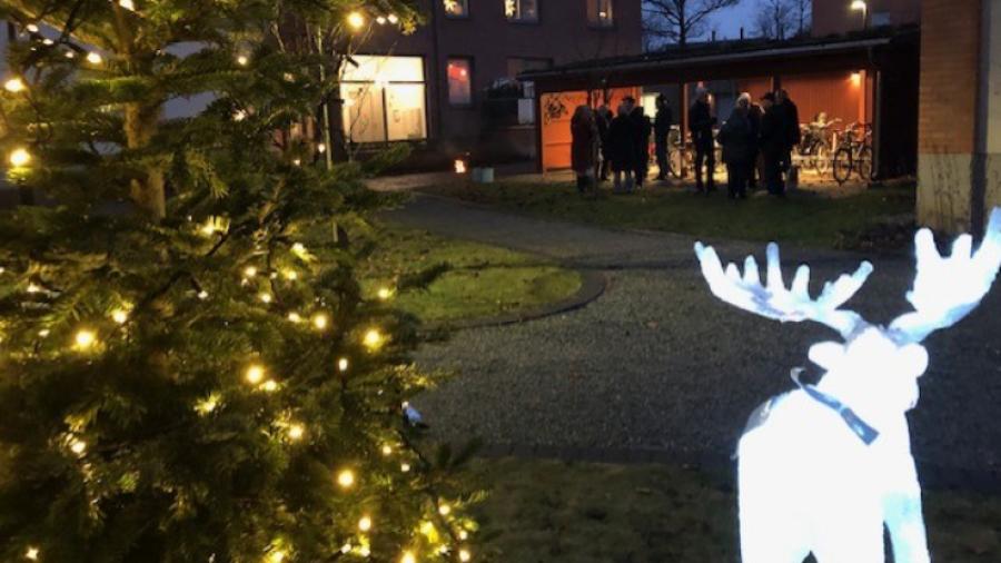 Juldekorerat på vår gård                      Foto: Pia Torndahl