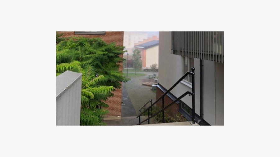 Utsikt mot vår innergård från trappan     Foto: Pia Torndahl